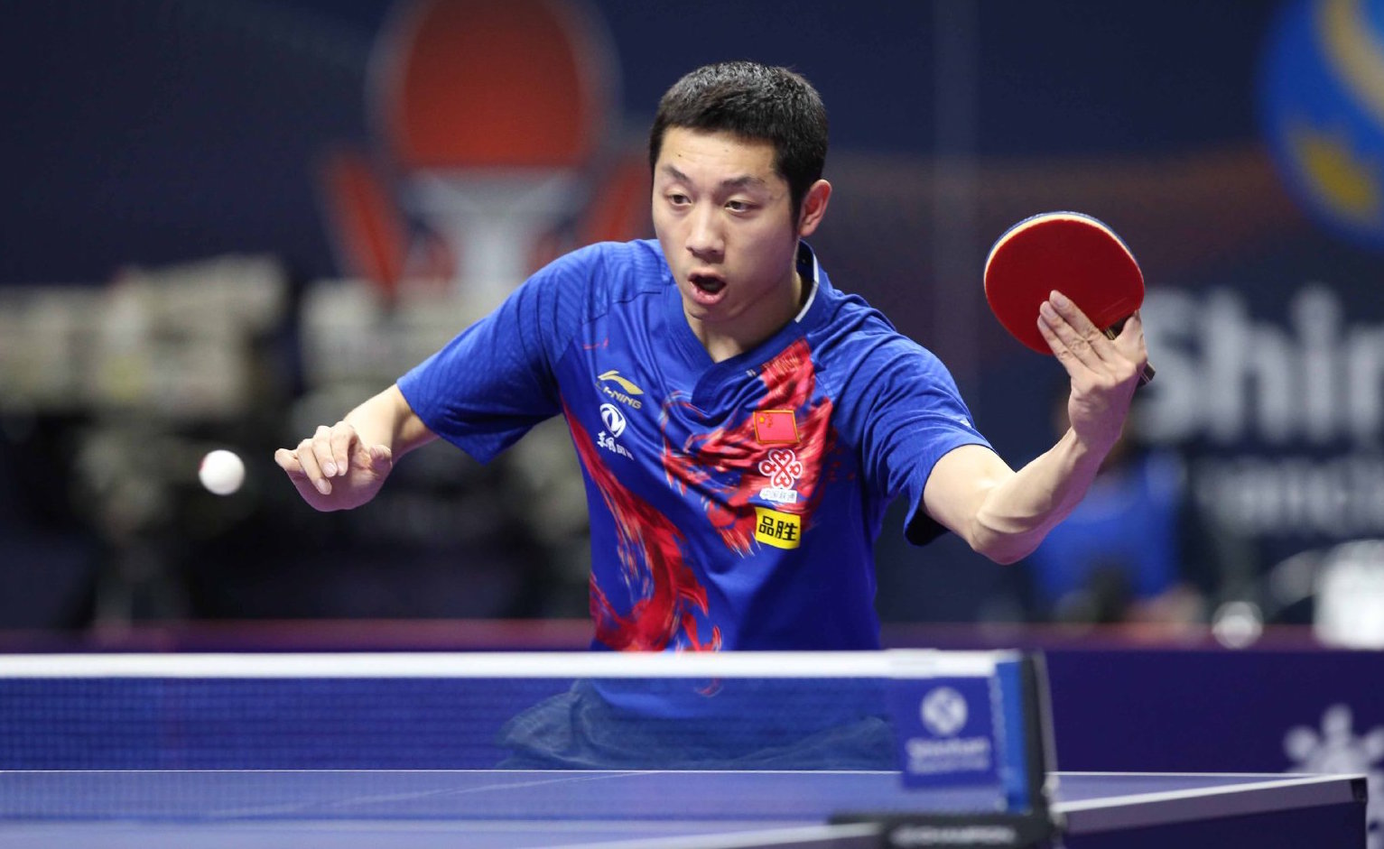 亚冬纵横 亚冬纵横