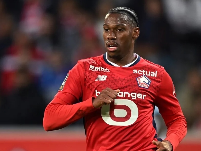 养他们成为 养他们成为