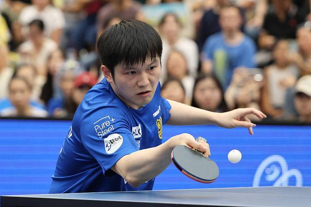 菲尼亚在场 菲尼亚在场